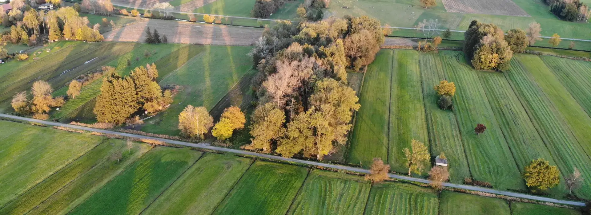 podział nieruchomości rolnych, działki rolne